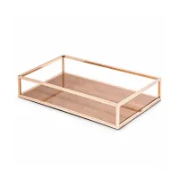 Metal Frame Mirror Vanity Tray